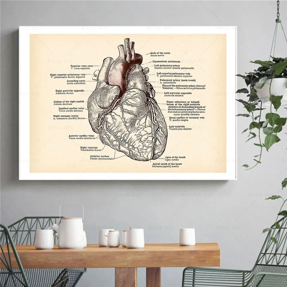 Vintage Human Heart Anatomy Art Poster Medical Wall Picture Heart Blood Vessel Canvas Painting Cardiologist Doctor Clinic Decor