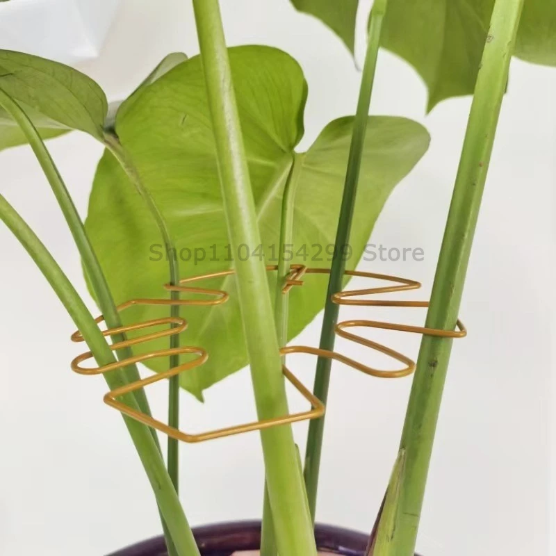 Large Monstera Plant Support Frame Sturdy Climbing Stems Leaf Stabilizer for Tall Houseplant Hanging Plant Stand Plants Holder