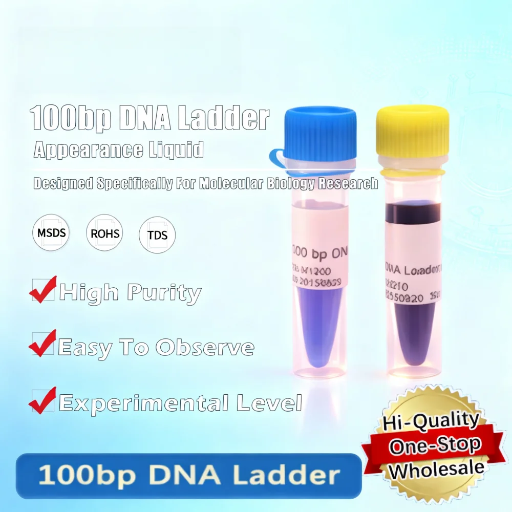 100bp Dna Ladder Laboratory Reagent For Molecular Biology Research Original Product