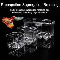 1PCS Peacock Fish Breeding Box Fish Aquarium Acrylic Isolation Box Fish Tank Hatchery Incubator Breeder Box Aquarium Supplies