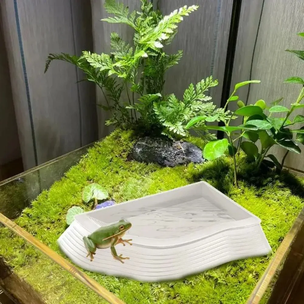 Gelber Rand Schildkröten-Badebecken, halb wasserbedecktes Reptilien-Badebecken, Wasser- und Futter-Doppelzweck-Krabbelbecken für Haustiere, Zuchtbox, Landschaftsgestaltung – Detail 9
