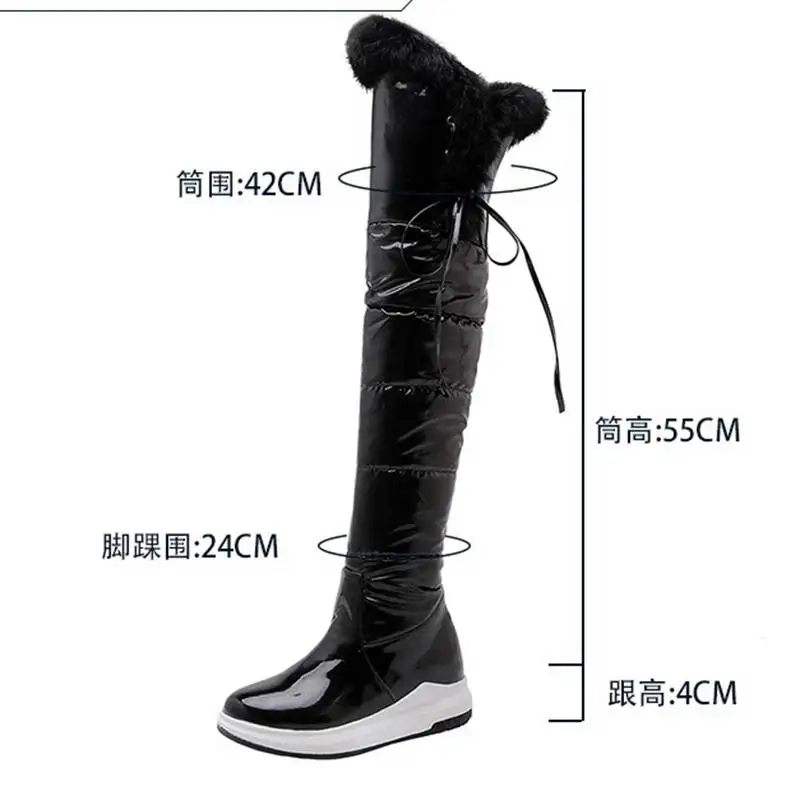 REAVE CAT Womans Thigh Boots Snow Shoes Thick Heels Slip On Big Size 42 43 Plush Furry Waterproof Booty Concise