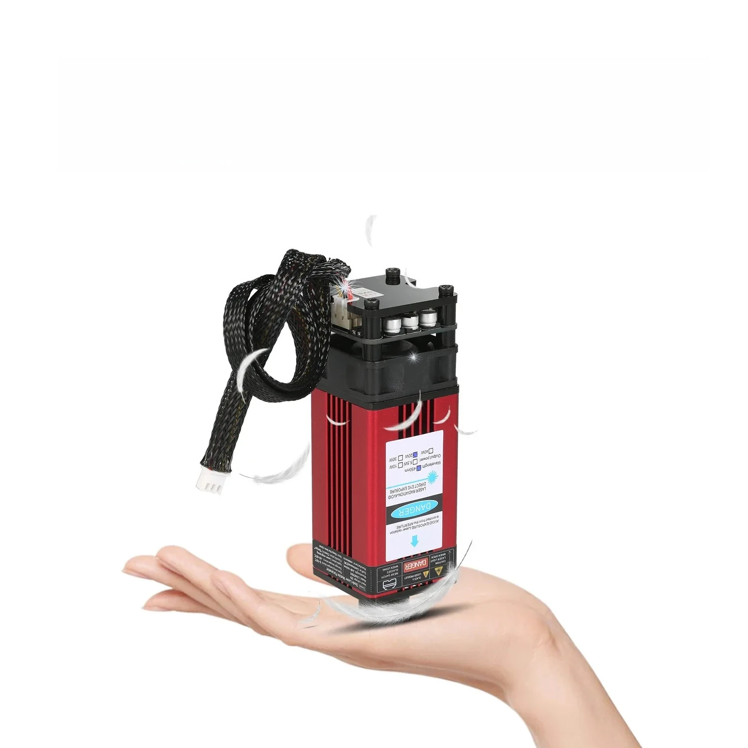 L TêTe Gravure Lase…