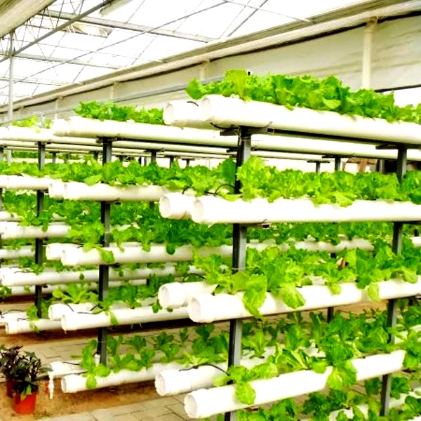 Outdoor Hydroponic Tower Grow Systems Garden Agricultural Soilless Vertical Hydroponic Grow Tower view 4