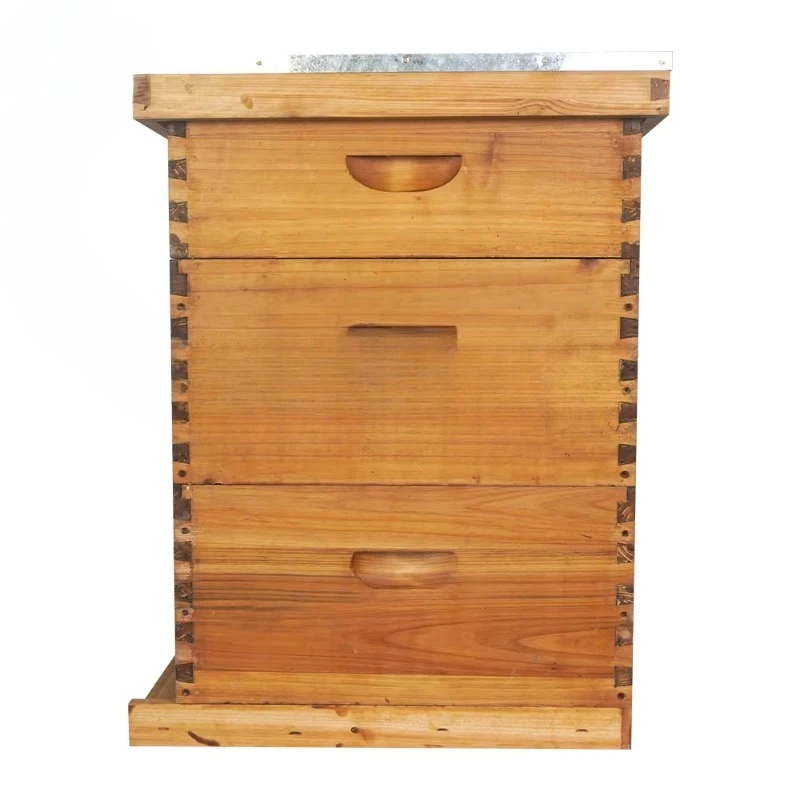

Wax coated 3 layer beehive 10 frame beekeeping equipment Wooden bee beehive