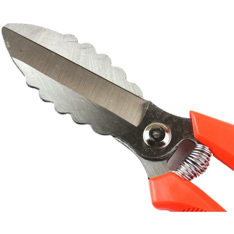 Garlic Cutting Shears,Professional Garden Pruning Shears with Serrated Blade,Handheld Pruner ForGarlic Harvest & Garden Trimming