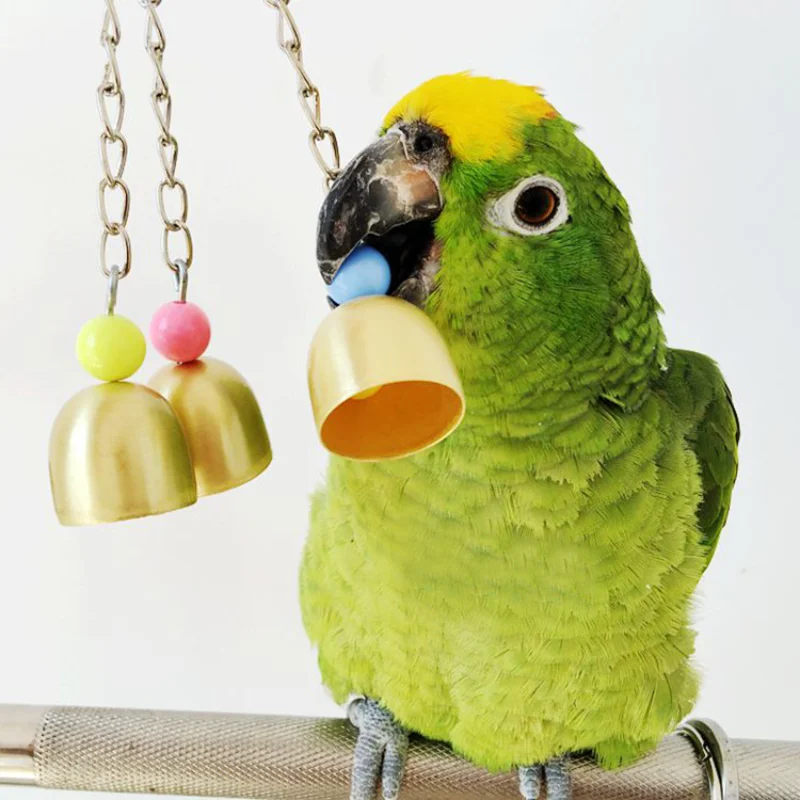 

Parrots Toys for Budgie Parakeet Bells Climb Bite Chew with Hanging Swing Pet Birds Interactive Toys Pet Bird Accessories