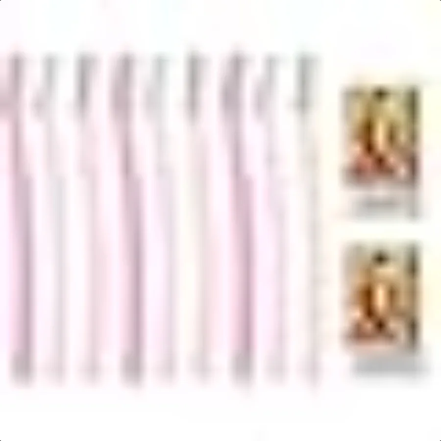 

Facial Razor Large for Women Pack of 9 3pcs x 3 packs Includes Original Oil Blotting Paper japan import