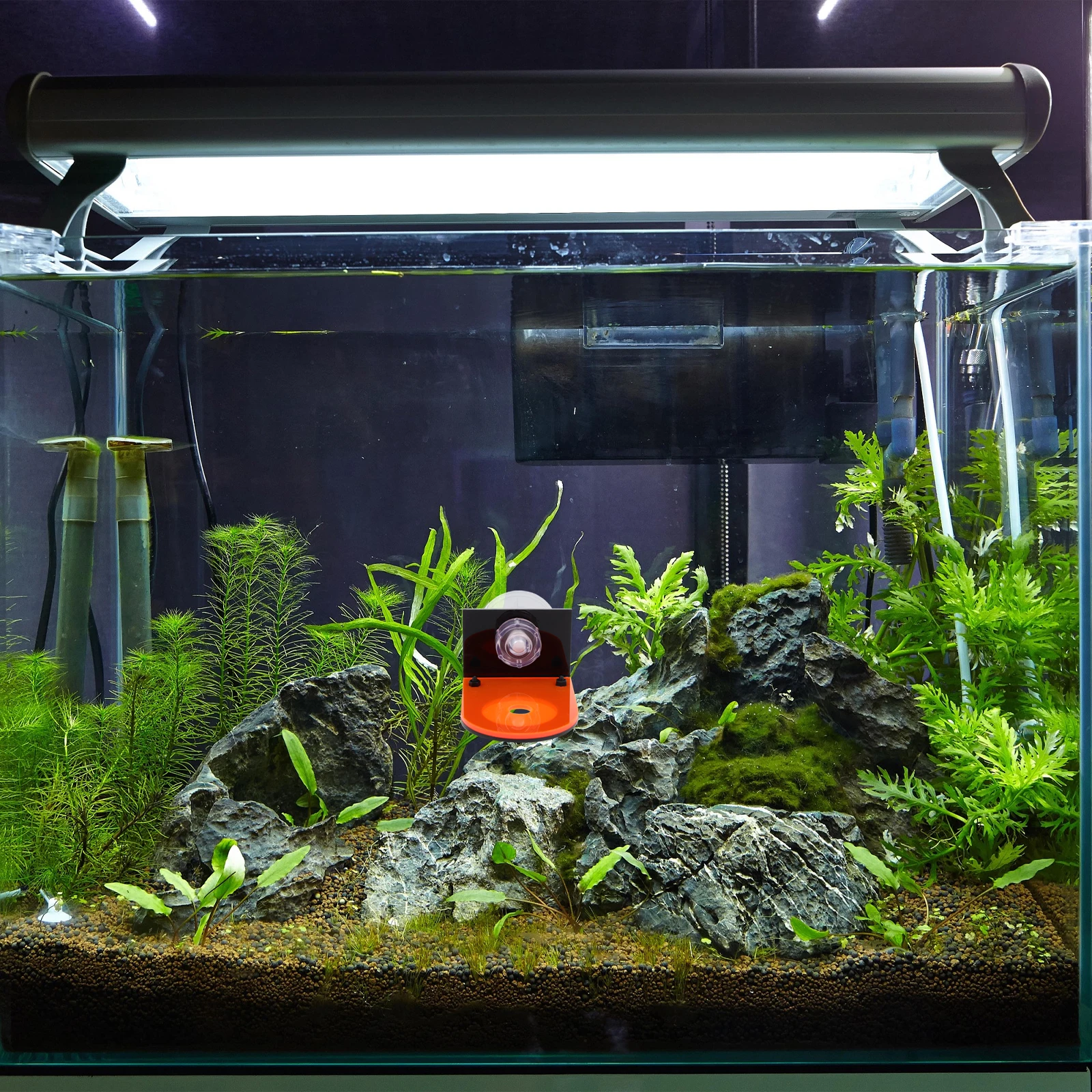 

4 Pcs Coral Racks Fluorescent Holders Breeding Acrylic Fish Tank Aquarium Plant Support ange Green Red Yellow Single Hole