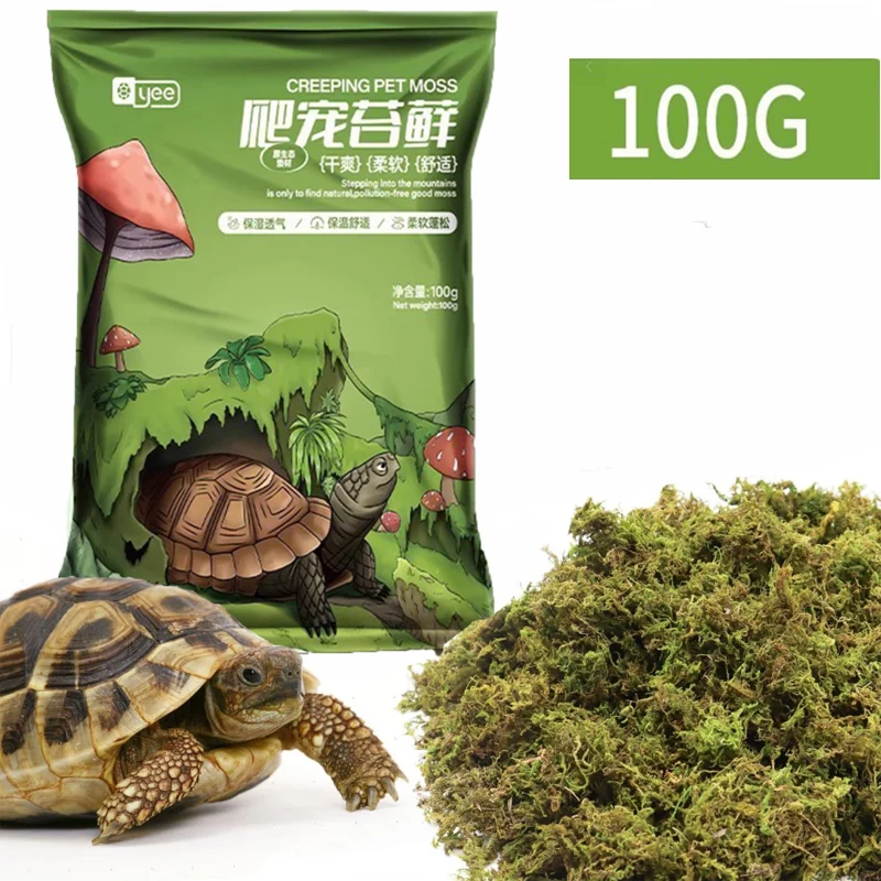 

Premium Dried Moss For Winter Reptiles Habitat Bed Snakes Turtle Gecko Terrarium Artificial Green Dry Moss Garden Potted Deco