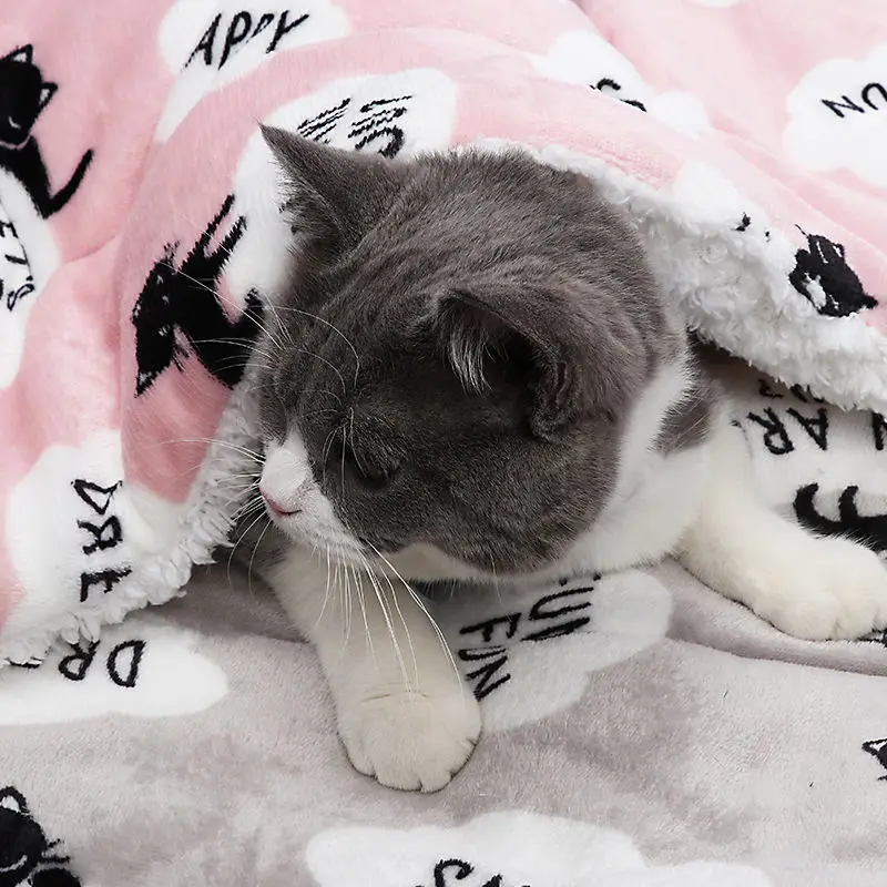 Pet Sleeping Pad Soft Flannel Thickened Pet Fur Pad Pet Blanket Mattress Dog Cat Sofa Pad Family Carpet Warm Dog Pillow