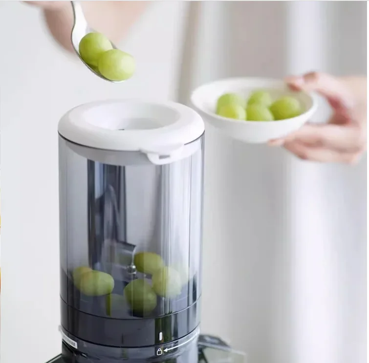 220V Olayks Large M…