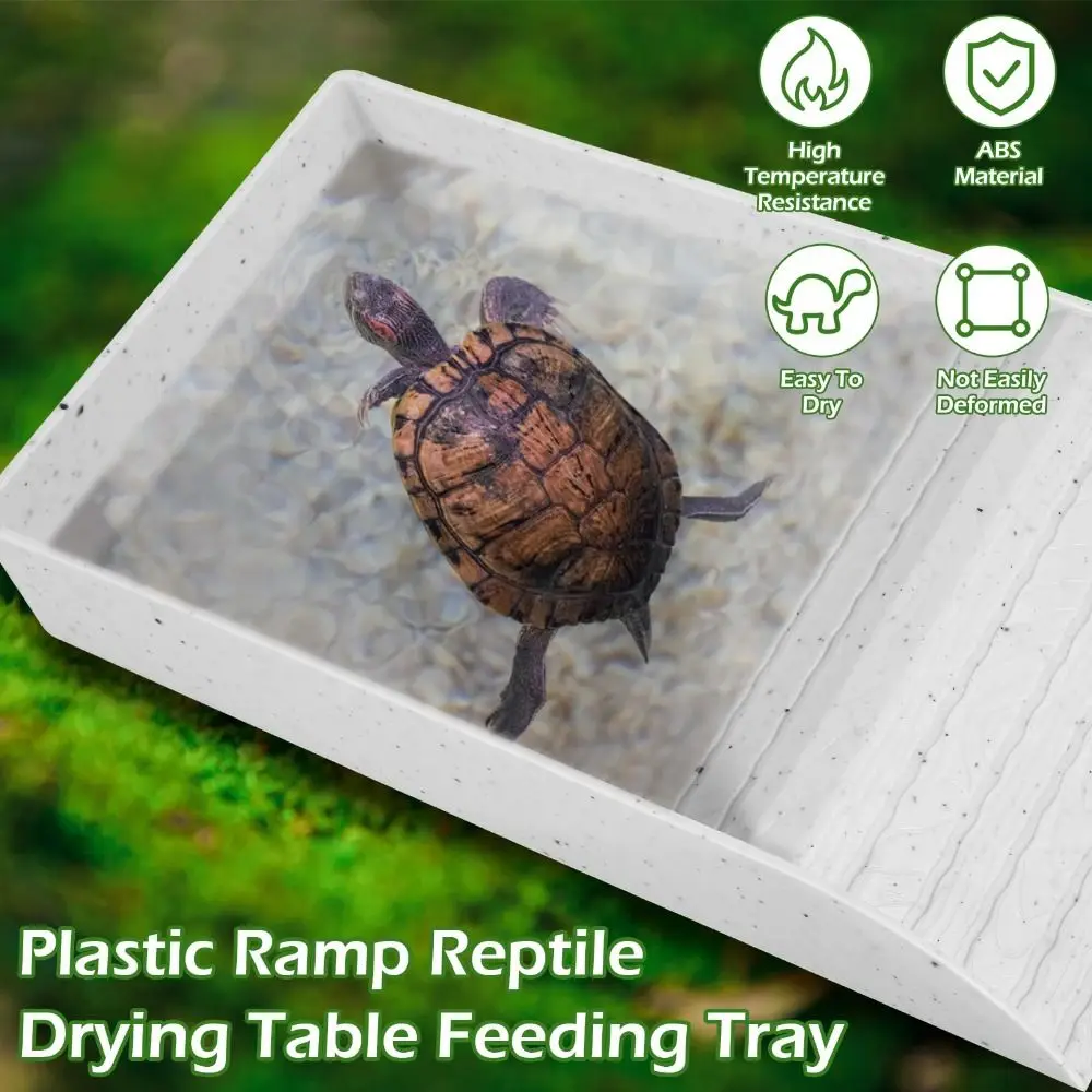 Dish Plastic Turtle Food and Water Bowl Tortoise Accessories for Basking Feeding Bathing