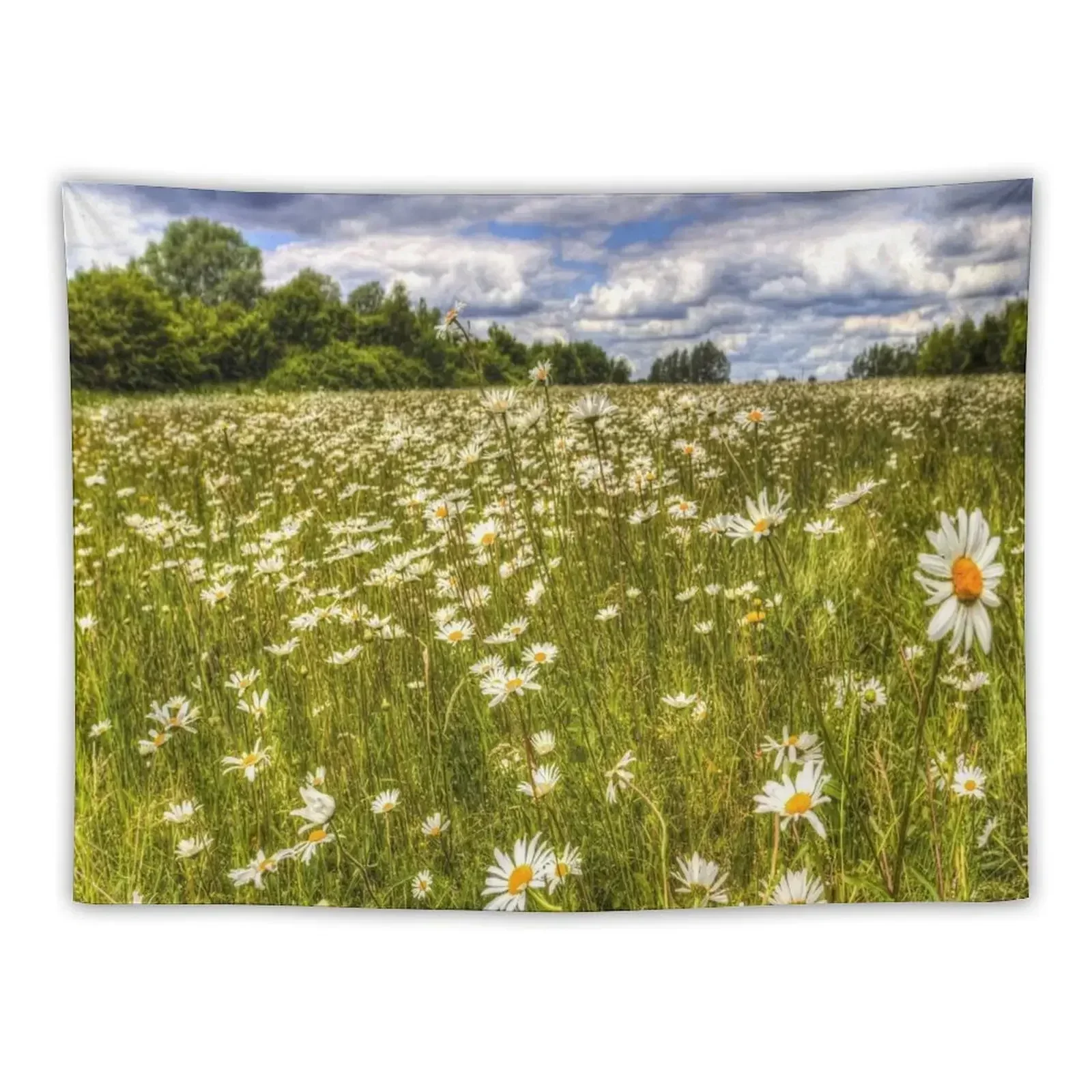 

Summer Daisy Field Tapestry Aesthetic Room Decoration Aesthetics For Room Decor For Bedroom Wall Art Tapestry