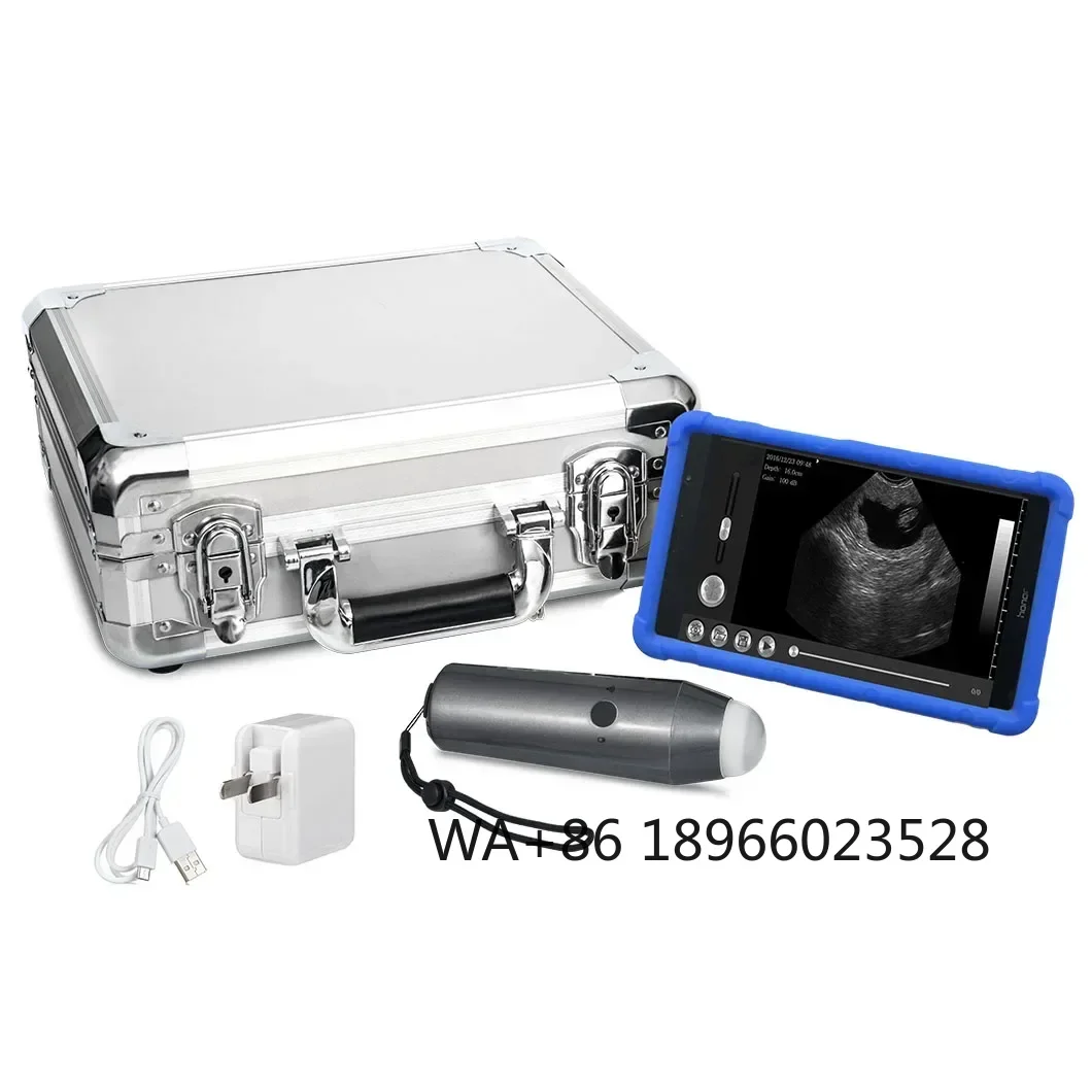 

Good Price Handheld Veterinary Portable Mobile Android Wireless Ultrasound Probe For Goats