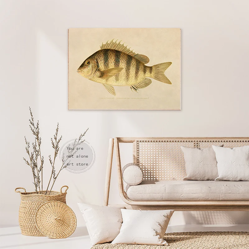 Vintage Style Fish Illustrations Creek Chub, Silverside, Brook Trout Art Posters Canvas Painting Wall Prints Pictures Home Decor