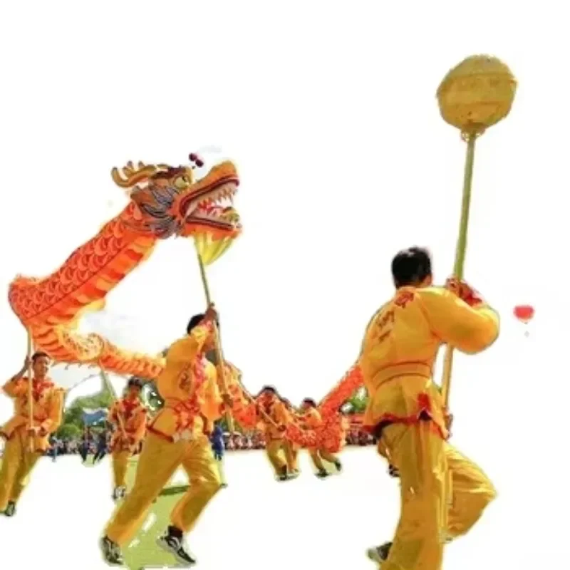 dragon dance lion and costume Customized