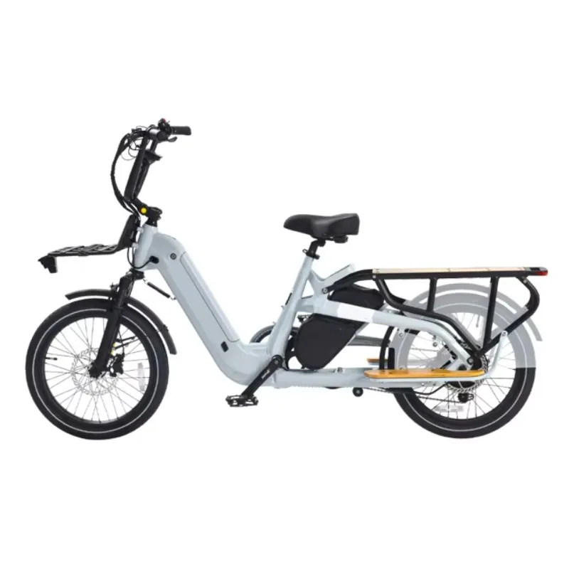 Electric Cargo Bike, Dual Battery Hybrid Electric Bike
