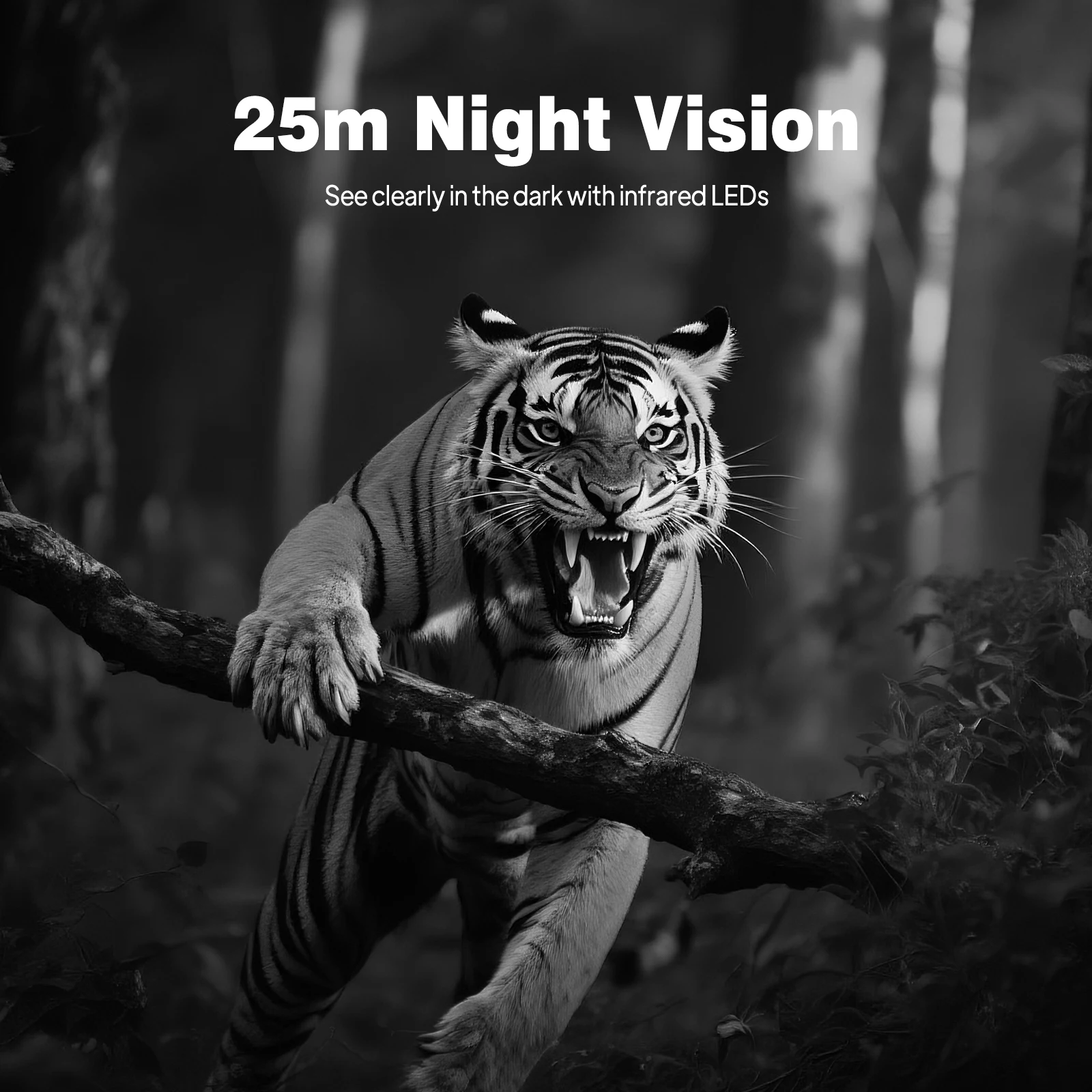 Thumbnail 3 - #20 Cheap Motion Activated Wildlife Cameras Worth Buying