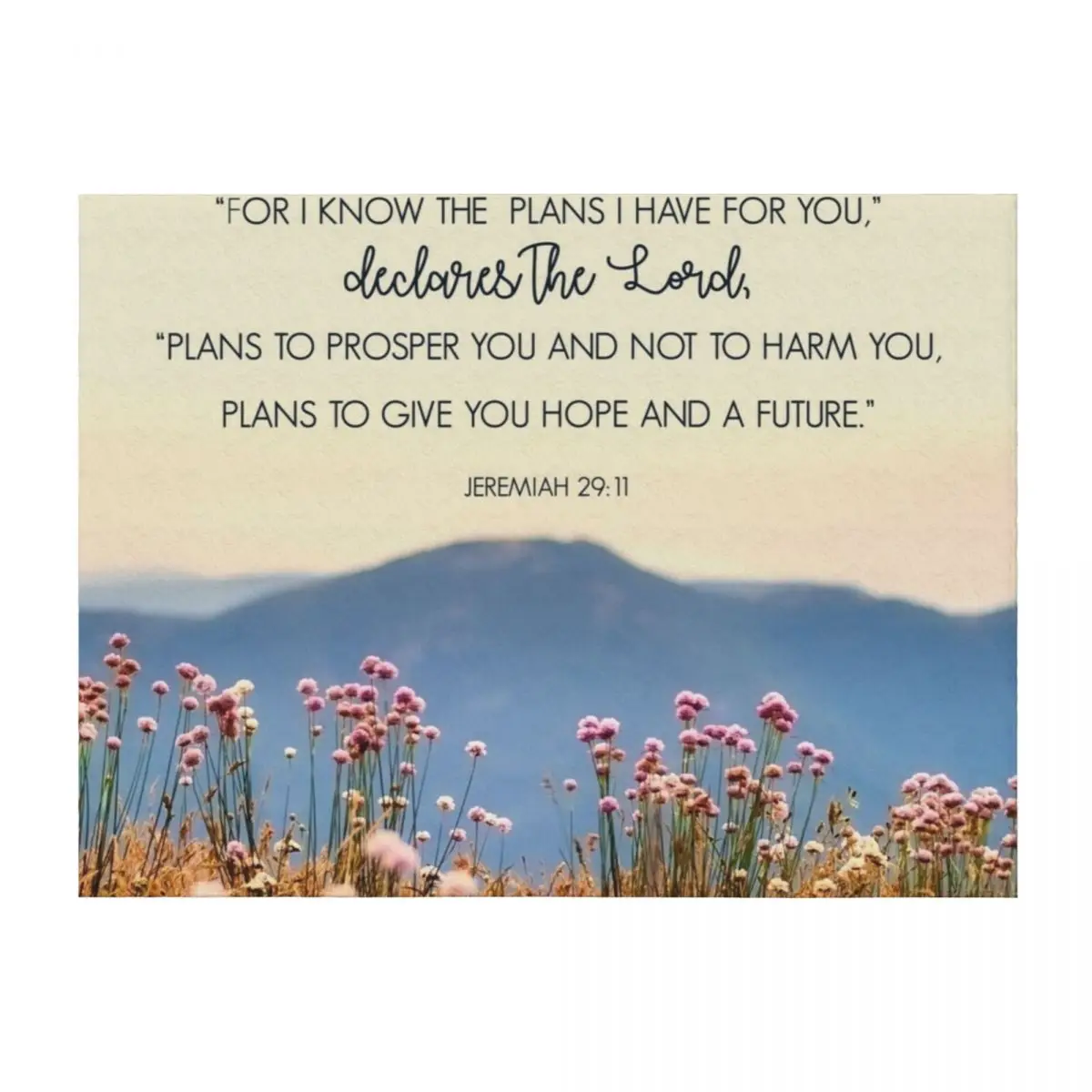

Jeremiah 29:11 Throw Blanket Sleeping Bag Summer for babies Quilt Blankets