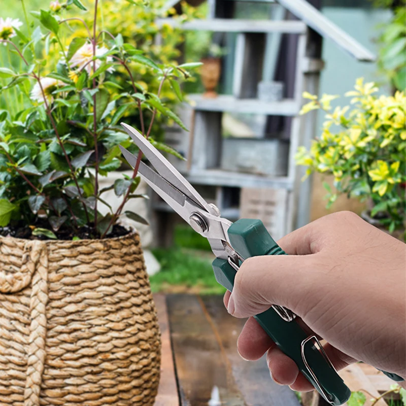 

Bonsai Scissors Stainless Steel Non slip Handle Sharp Durable Blade Plant Branch Scissors Gardening Trimming Bonsai Tools