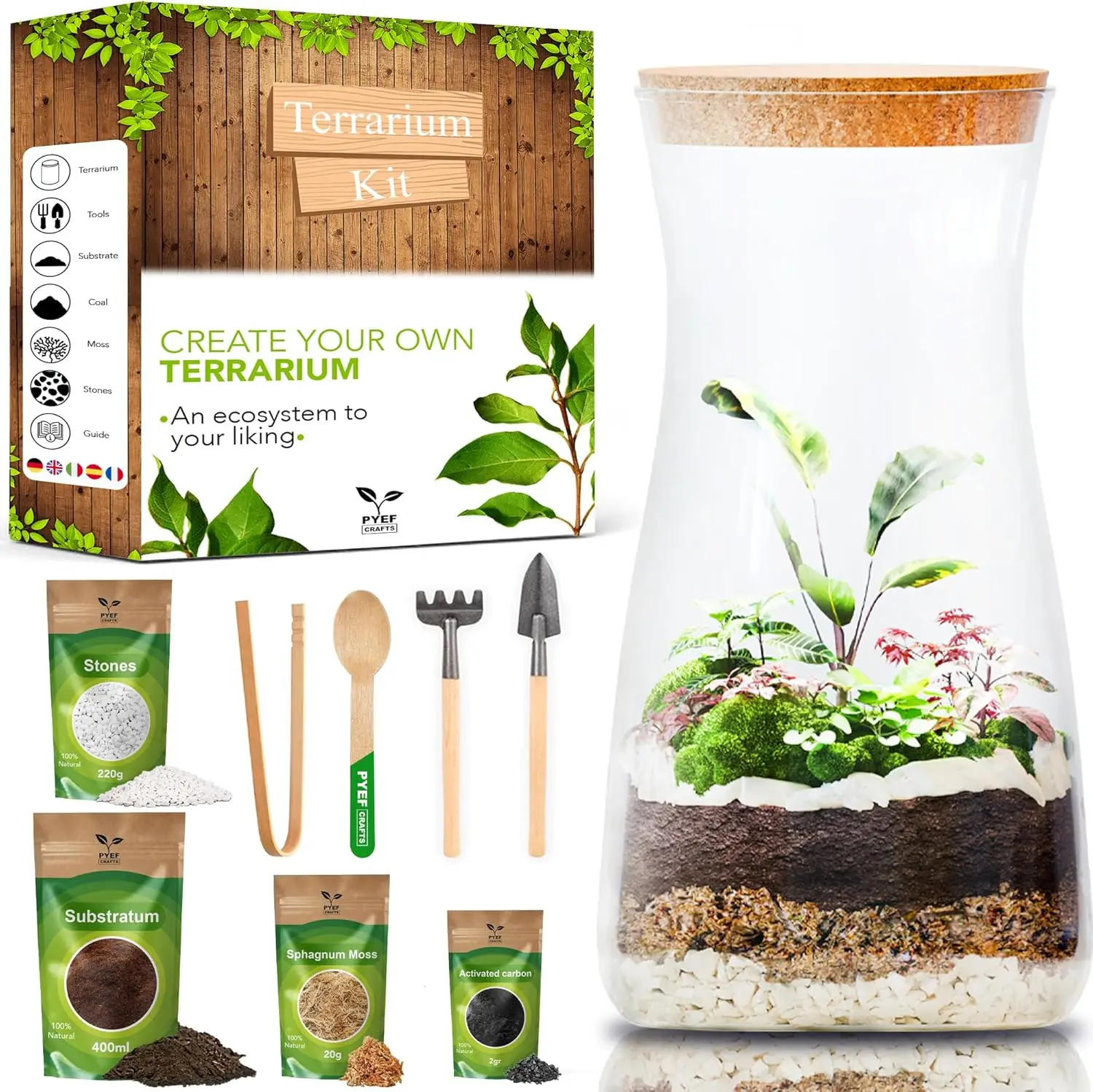 Terrarium Kit for Adults – Build Your Own Self‑Sustaining Closed Ecosystem – 34 fl oz (1‑Liter) Glass Terrarium – Succulents, Ai