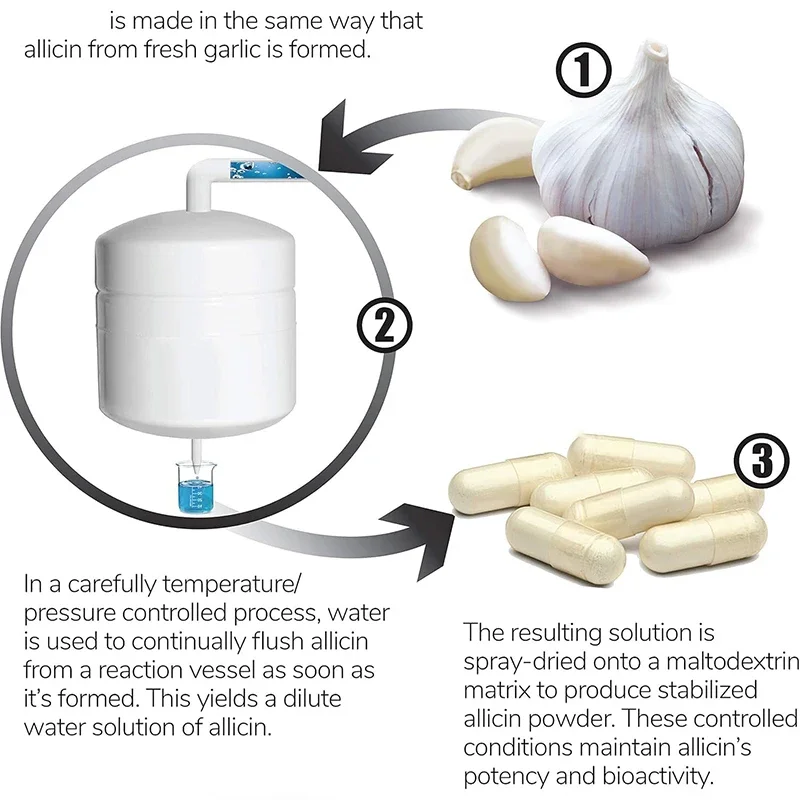 مكملات الأليسين تدعم وظيفة المناعة لجسمك -60 كبسولة #5