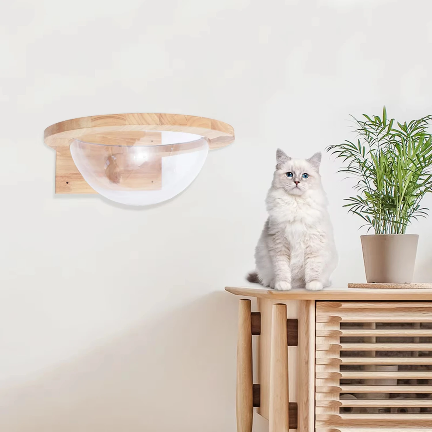 Transparent Capsule Cat Wall Shelves Clear Cat Bed Small Pets Bed Toy  Chic Pet  Accessories Cat post with toys Cat beds Dog toy