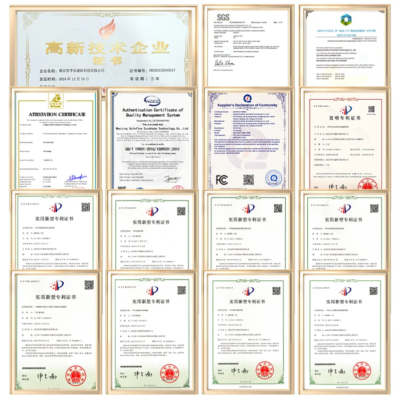 B1 Roll Out Trailer Awning RV Exterior Accessory For Motorhome Caravan Camping Electric Customized