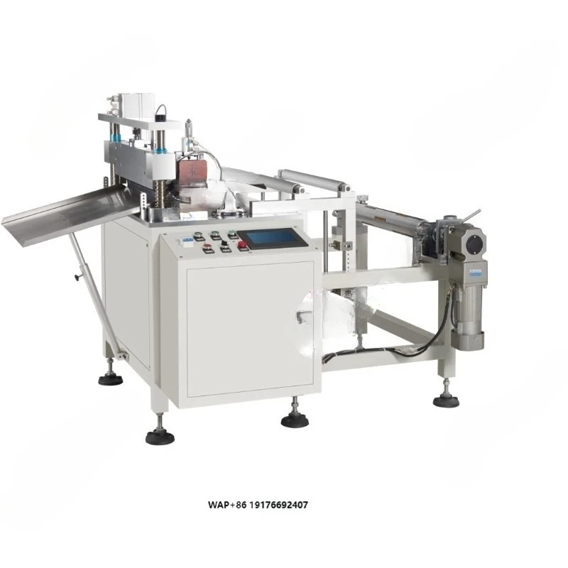 Electrode Cutting Machine for Pouch/Cylindrical Cell Pilot Line
