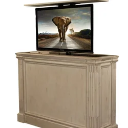 Electric Remote Retractable Screen Mount Motorized TV Mount Wholesale Motorized TV Lift Stand in the Cabinet