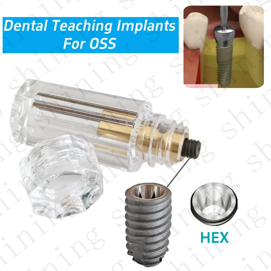 

Dental Model Implant Fixture Practice Model Implant Training Student Model OSS Regular 6.0