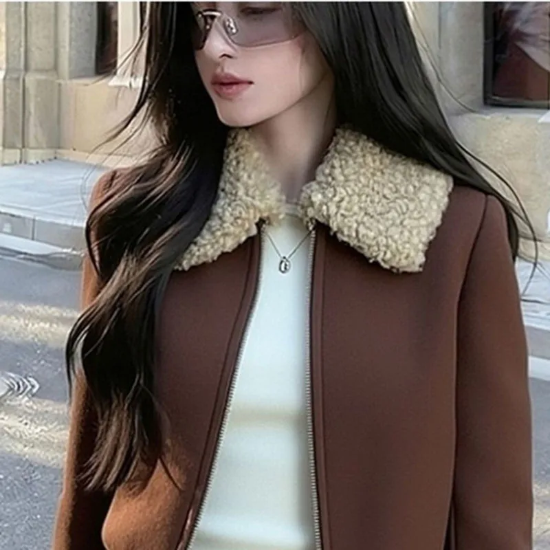 

Fashion Brown Coat Women 2026 New Spring Autumn Winter Jacket Small Fragrant Short Design Sense Thick Warm Zipper Outerwear Top