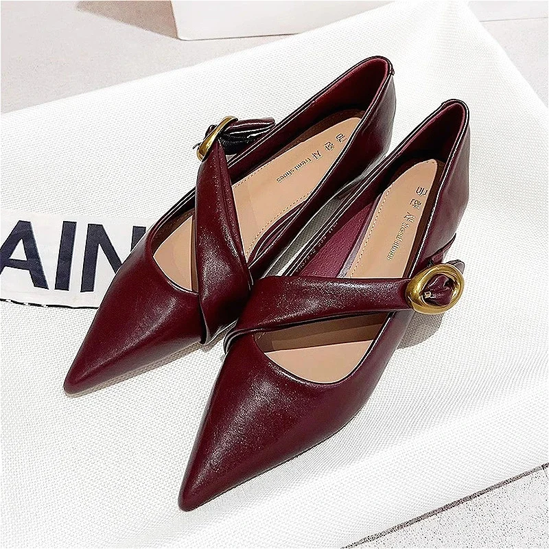 

Sexy Pointed Toe Women Chunky Shoes Fad Leather Marie Janes Shoes 2025 Winter Trend Elegant Party Dress Shoes New Shallow Pumps