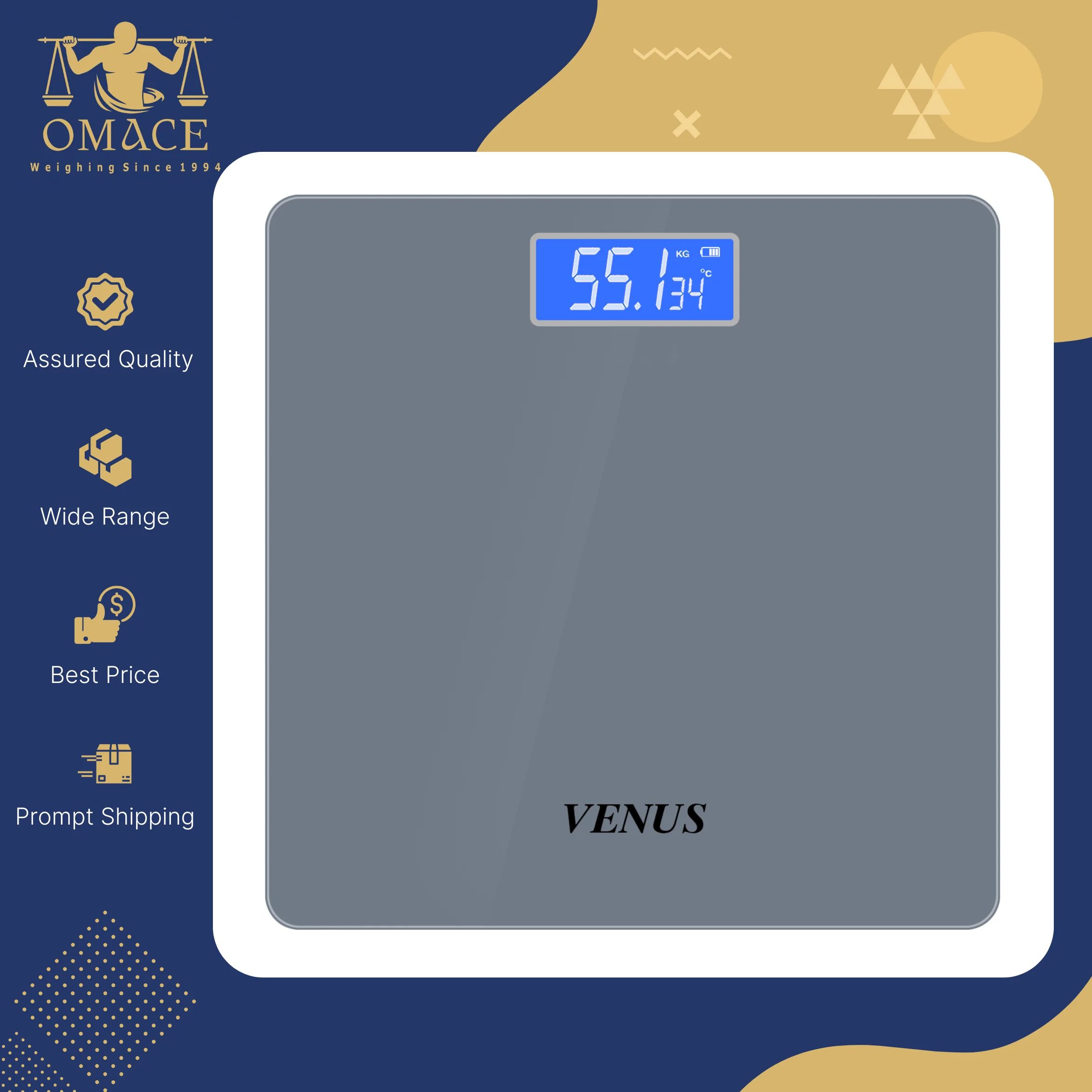 High Precision Best in Quality Testing and Analysis Instruments Low Price Grey and Silver Color Digital Personal Weighing Scale