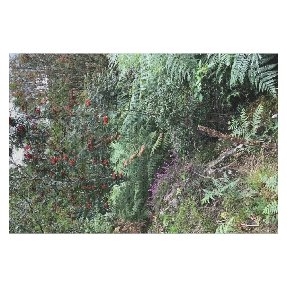 

Lake District photograph of colourful plants Jigsaw Puzzle Diorama Accessories Iq Puzzle