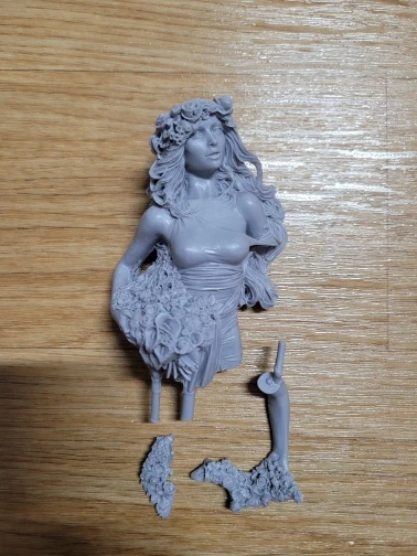 Buyer photo of this resin kit