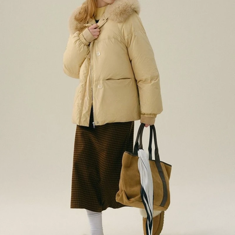 

Warm and Thin, Loose Winter Women's 2025 New Hooded Simple and Versatile Short Down Cotton Clothes