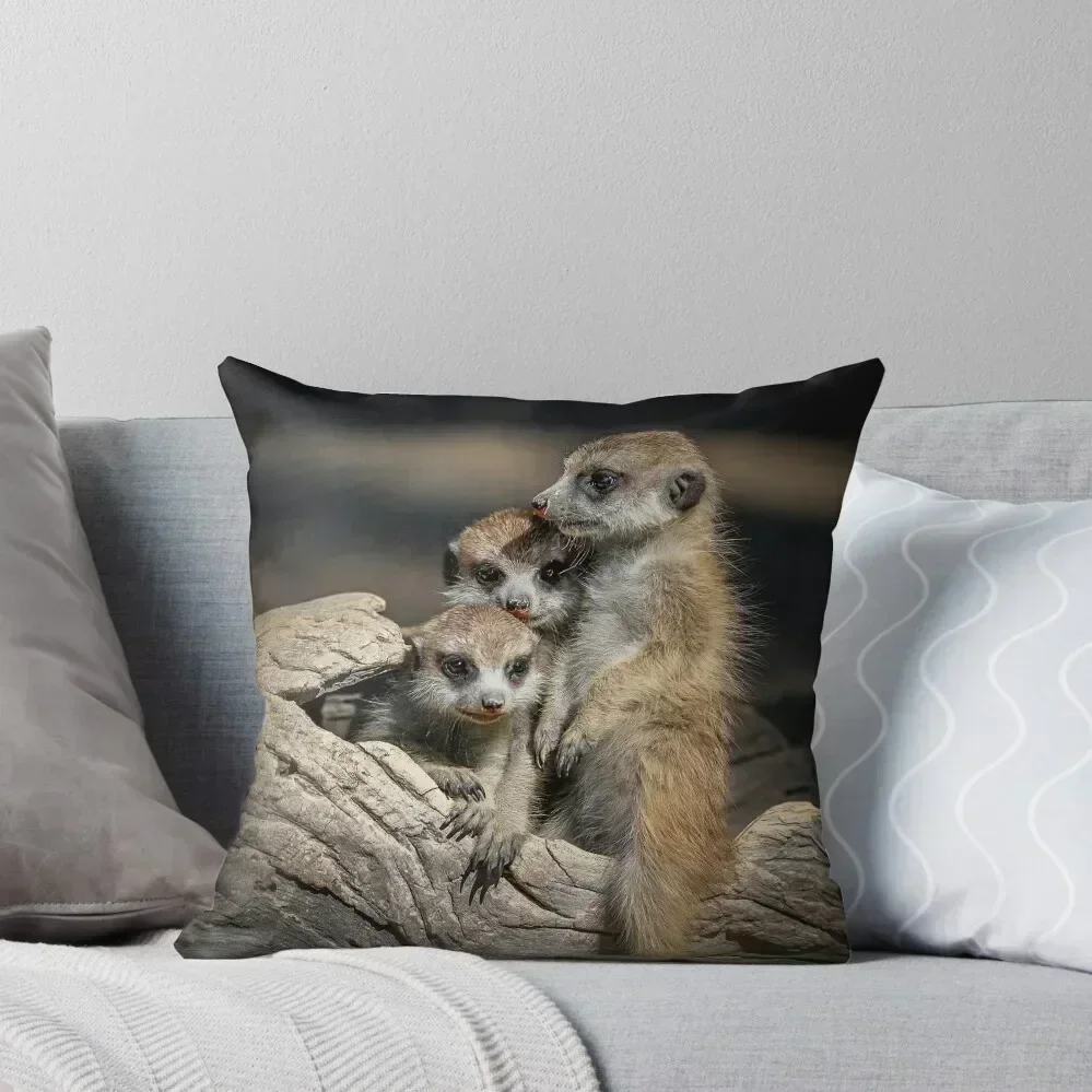 

Meerkats Throw Pillow Sofas Covers Cushion Child christmas supplies pillow