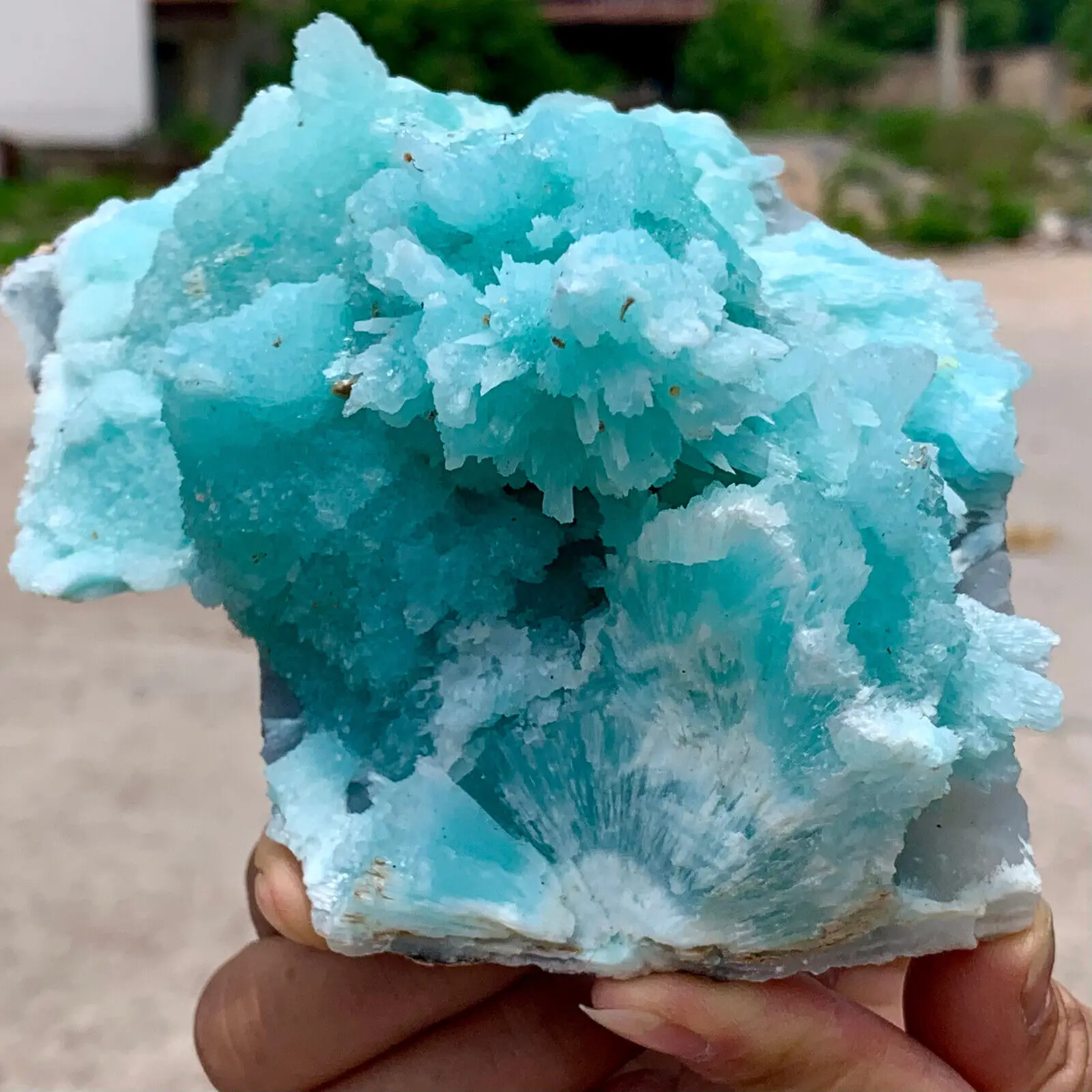 Magical Natural Blue Literary Quartz Crystal Mineral Repair Specimen Treatment Home Office Degaussioning Decoration Energy Gem