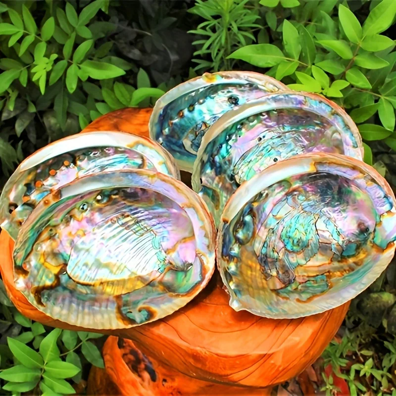 1pc Abalone Shell Bowls - Ideal for Burning, Home & Yoga Decor, Perfect for Camping, Gardens, Patios, and Romantic Dinners