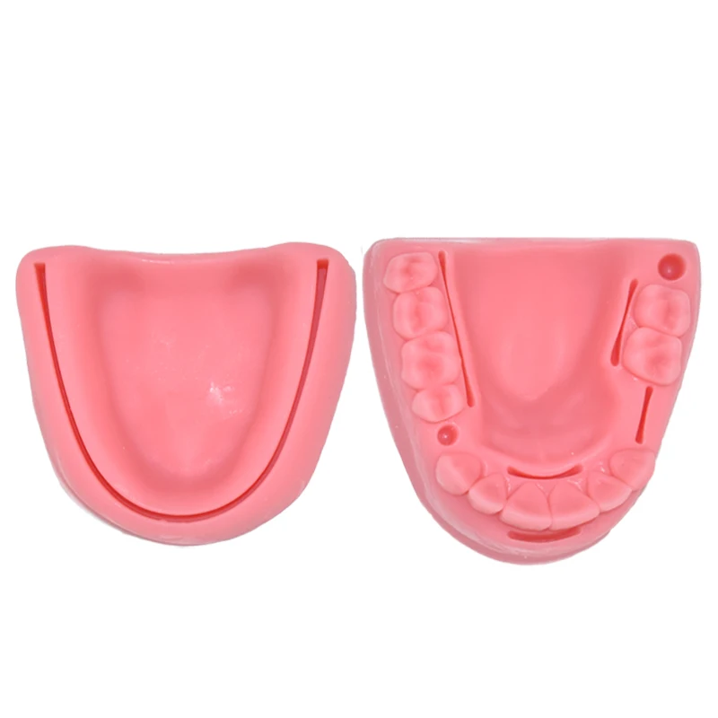 

2Pcs/set Dental Oral Gum Suture Training Module Silicone Periodontitis Suture Demonstrating Dental Materials