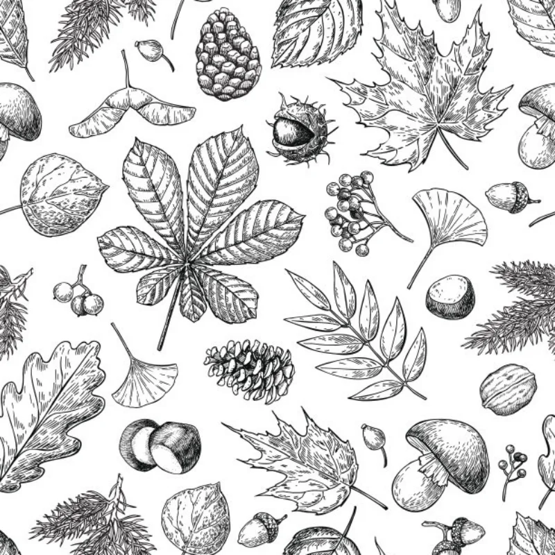 

1 шт. алюминиевый передний бампер для радиоуправляемых моделей 1/10, подходит для Tamiya CW-01 Lunch Box ORV BlackFoot, улучшенная версия