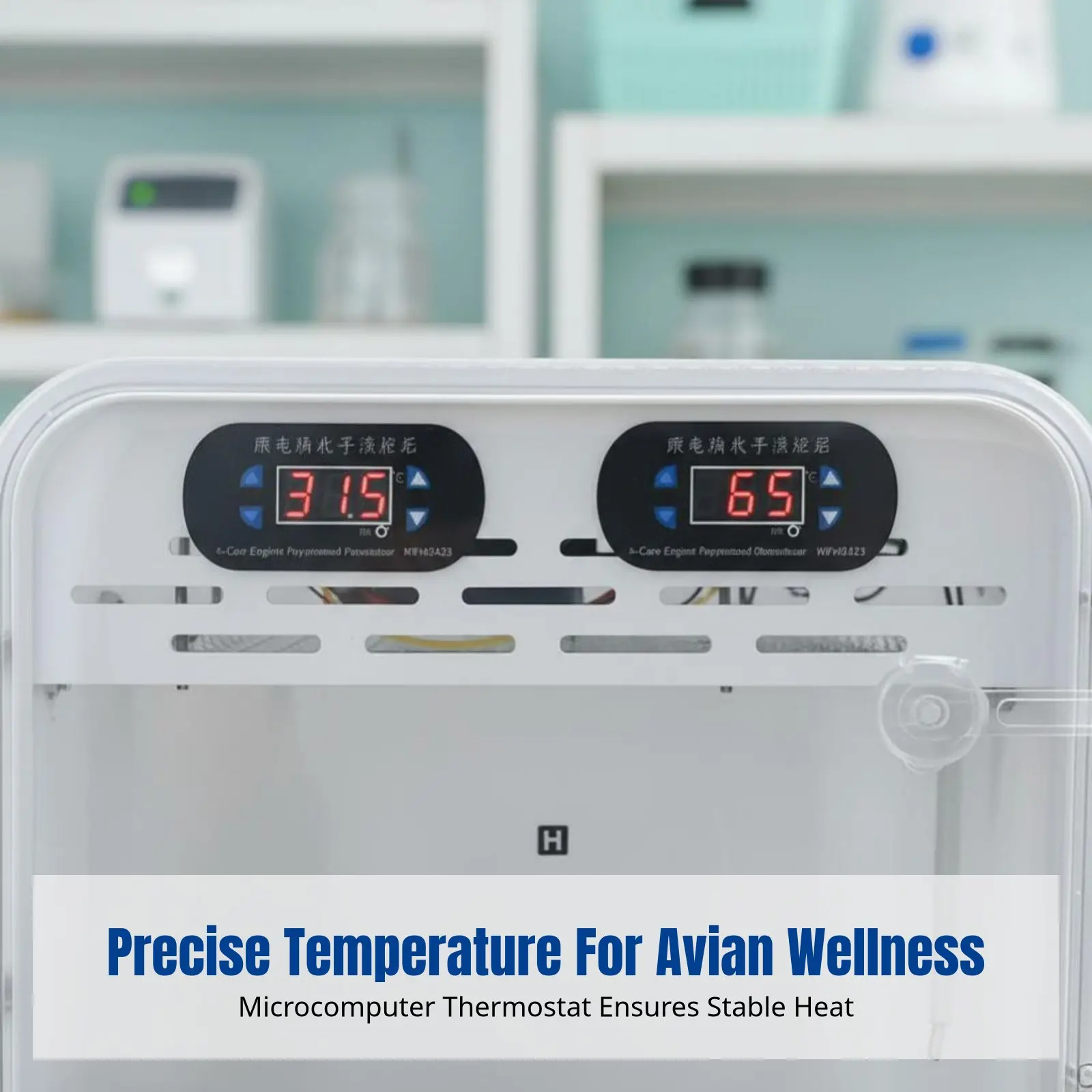 

Intelligent Parrot Incubator, Warm Air Brooder, Constant Temperature, Hand-Rearing Chicks, Quiet Transparent Box