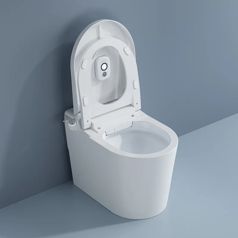 Automatic Wc Smart Toilet Remote Control Wc Bathroom Wall Smart Intelligent Toilet