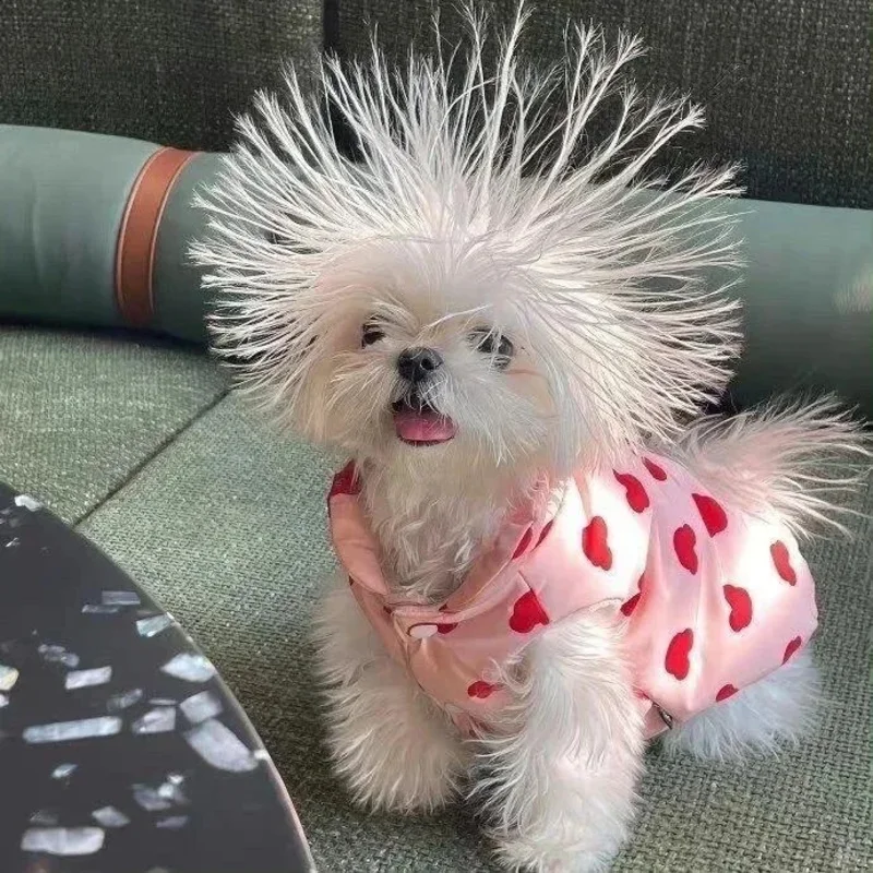 

2026 Анионовая кислородная машина для лица Hydra Oxygen Jet Peel, маски с куполом, кислородная машина для омоложения кожи