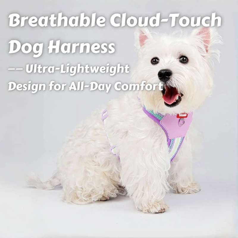 حزام صيفي للكلاب بدون هروب - شبكة تبريد على طراز H مع شرائط عاكسة ولمسات نيون، تصميم خفيف الوزن مقاوم للهروب