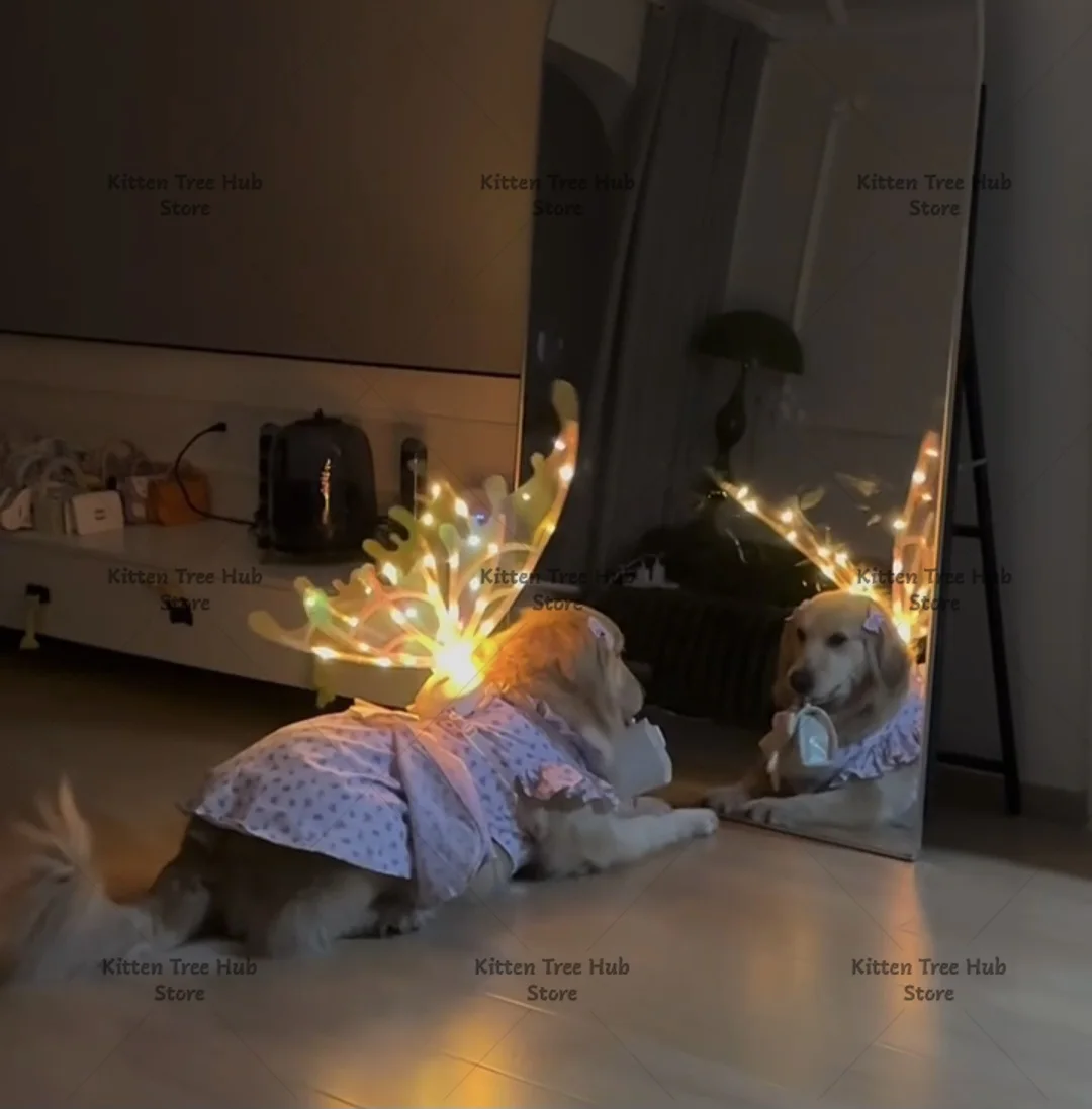 Dog Wings Birthday Wedding Dress Up with Music Dynamic Wings Pet Accessories