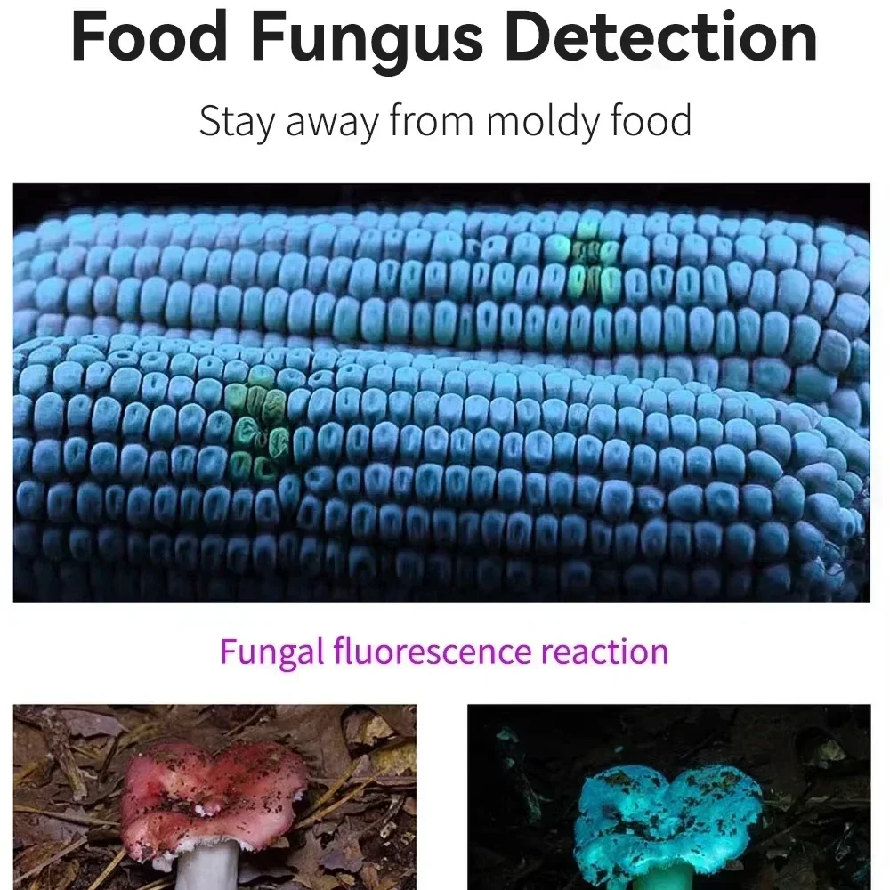 39nm البسيطة الأشعة فوق البنفسجية مصباح يدوي الضوء الأسود ضوء الأشعة فوق البنفسجية يده استخدام بطاريات AAA للحيوانات الاليفة الكلب القط كاشف البول العقرب مكتشف #4