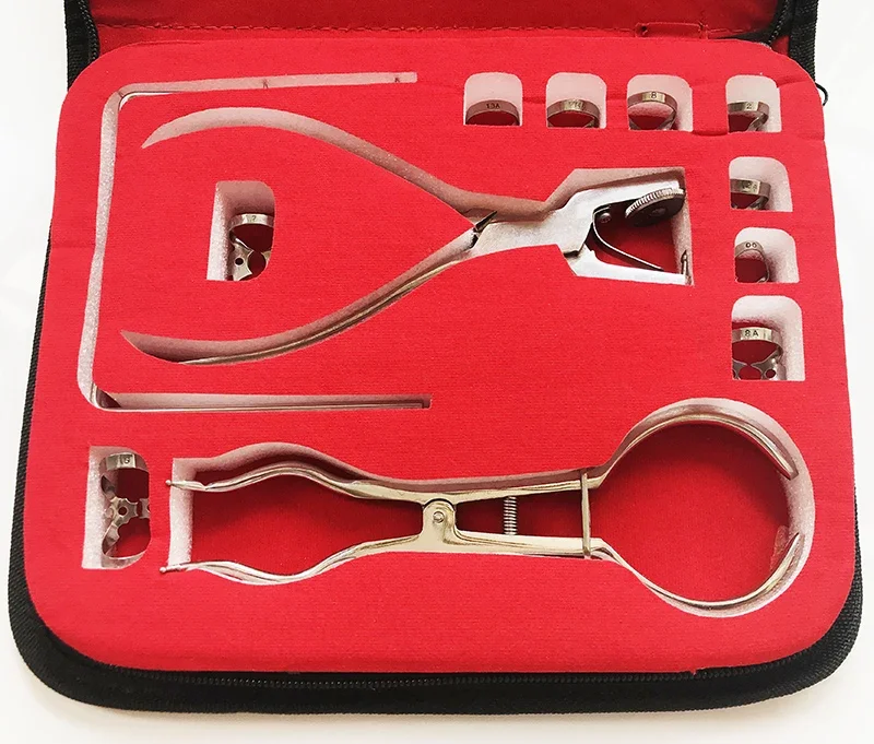 Dental Dam Perforator Rubber Hole Puncher Set Teeth Care Pliers Orthodontic Tools Dentist Clinic 1 Kit Dentistry Products Metal